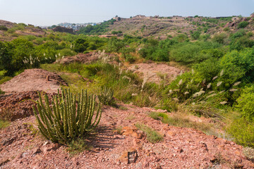 View of Rao Jodha desert rock park, Rajasthan, India