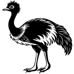 illustration of an ostrich,black emu silhouette vector illustration,icon,svg,bird characters,Holiday t shirt,Hand drawn trendy Vector illustration,emu on a white background
