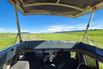 watching animals in wild inside a vehicle with an open roof. View of the African savannah from inside the safari car.