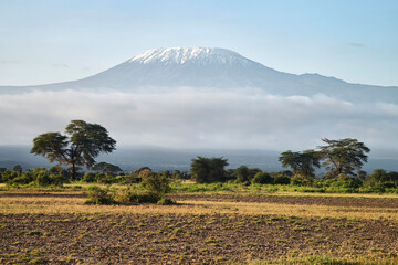 Fototapeta premium peak of the snow-covered Kilimanjaro volcano. Snow on top of Mount Kilimanjaro in Amboseli