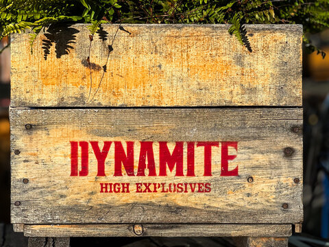 wooden box standing outdoor, covered with plants on top and red warning letters "DYNAMIT" and "HIGH EXPLOSIVE"
