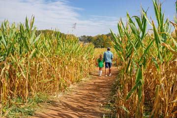 Background of a father and daughter hang out in a corn field