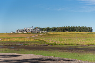 Paisagem rural sul do Brasil fronteira com Uruguai