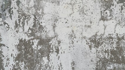 
Background of cement wall with black mold spots.