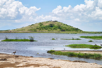 beautiful landscape of African savannah and lakes in Amboseli Kenya National Park.