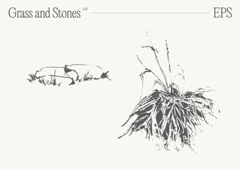 Hand drawn vector illustration of grass and rocks on blank backdrop. Isolated sketch. - 780251748
