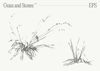 Hand drawn vector illustration of grass and rocks on blank backdrop. Isolated sketch. - 780251936
