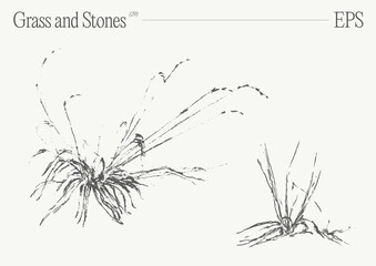 Hand drawn vector illustration of grass and rocks on blank backdrop. Isolated sketch.