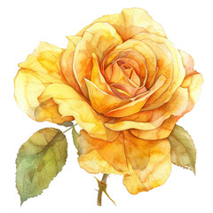 yellow rose, Watercolor Wonders: A Medley of Rose Bouquets - obrazy, fototapety, plakaty