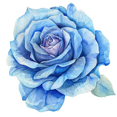 blue rose isolated, Watercolor Wonders: A Medley of Rose Bouquets
