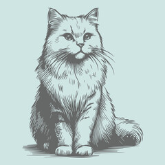 Cat Sketch Illustration