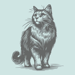 Cat Sketch Illustration