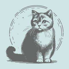 Cat Sketch Illustration