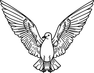 Hand drawn  sketch of a  flying bird