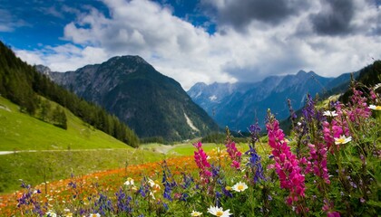 Fototapeta premium Valley and colorful flowers