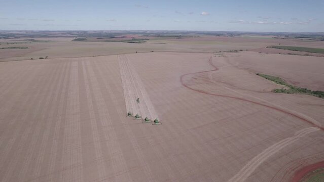 Several harvesters harvesting soybeans in Brazil. Real farm in the interior of Mato Grosso. Aerial image. Raw Footage.