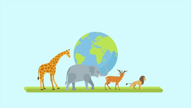 Animated video virtual world wildlife day concept. Full length animation illustration. High quality 4k footage.	