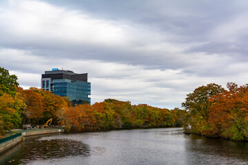 Fototapeta na wymiar A view of Charles River from North Beacon Street Bridge with Mariana Oncology Center in background, Watertown, Massachusetts, USA