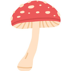 red mushroom hand draw