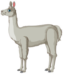 Fototapeta premium Vector illustration of a single llama in profile.