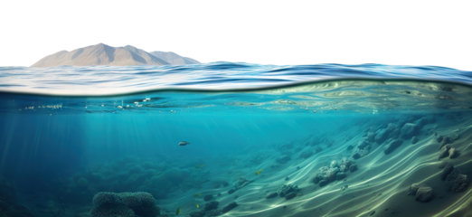 Serene undersea scene cut out