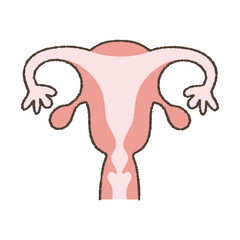 Uterus illustration, icon.
