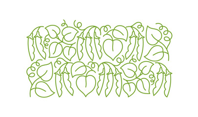 Peas or soy bean plant pattern ornament. Flourish background design element. Editable outline stroke. Vector line.