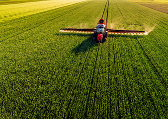 Drone shot of a red tractor applying treatment to wheat crops in vast farmland