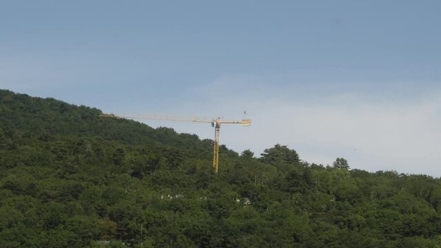 Time lapse shot forest hill. industrial pulley machine transporting wood in France aix les bains