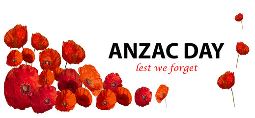 The remembrance poppy .isolated. Poppy flower with text anzac. Decorative flower for Anzac Day in...