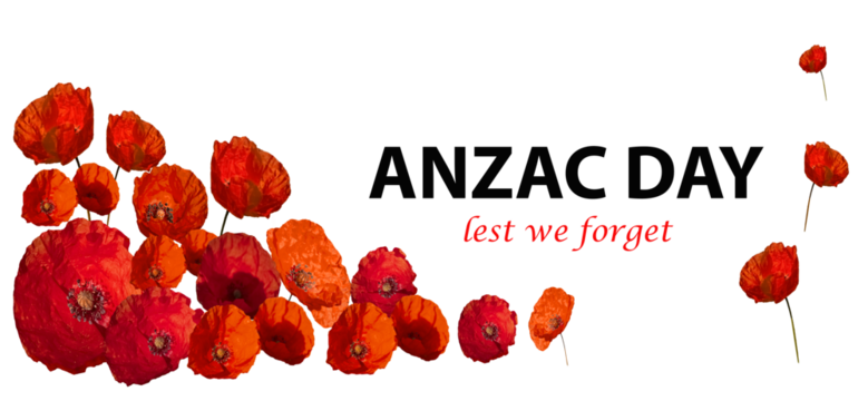 The remembrance poppy .isolated. Poppy flower with text anzac. Decorative flower for Anzac Day in New Zealand, Australia, Canada and Great Britain