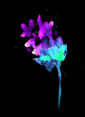 colorful beautiful watercolor flower on a black background