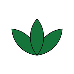 green leaf isolated