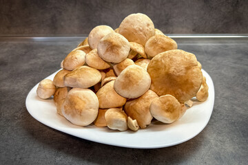 Pile of edible Saint Georges mushrooms on white plate