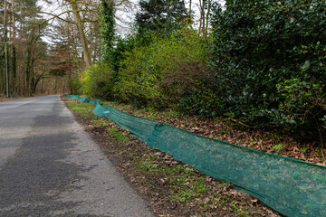 Green mesh along the forest road blocking the exit of small animals onto the roadway.