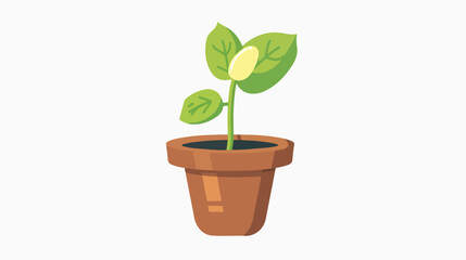 avocado sprout in a flower pot flat vector
