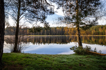 Spring countryside with pond and trees in morning light