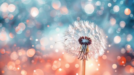 A delicate dandelion against a sparkling bokeh background, capturing the essence of dreams and wishes.