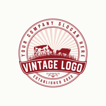 Vintage badge with premium vector Beef farm logo