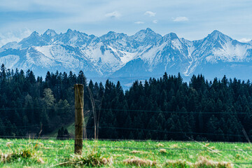 Góry, panorama Tatr w Polsce wiosną, widok z polany w Pieninach. - obrazy, fototapety, plakaty