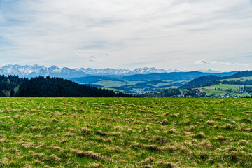 Góry, panorama Tatr w Polsce wiosną, widok z polany w Pieninach.
