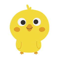 Cute chick animal illustration