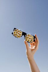 Hand holding sunglasses decorated with chamomile daisy flower buds over blue sky. Spring, summer sunny day concept with copy space for text - 780306535