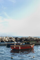 Harbour of Procida Island, Italy. Traditional fishing boats. South of Italy - 780307141