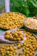 Raw material for making delicious beverage from apricot or Japanese plum with sugar, seasonal fruit that good for health, nutrition, rich vitamin