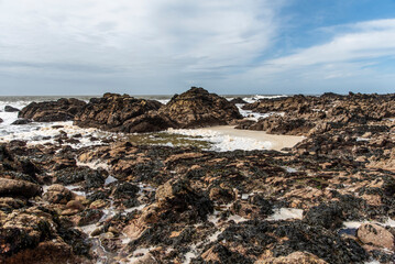 Rocky ocean coast in Brittany, France at low tide. - 780308739