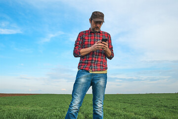 Farmer standing in wheat seedling field and using mobile phone app, smart farming concept