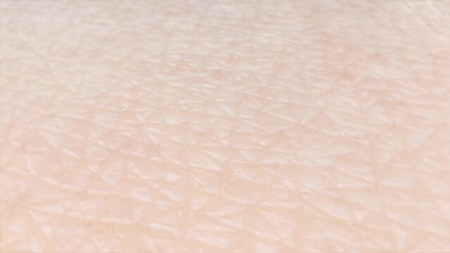 Wrinkle smoothing and skin tightening process. Human skin before and after collagen and elastin fibers regeneration. Anti-aging treatment or cosmetic products advertising 3d animation