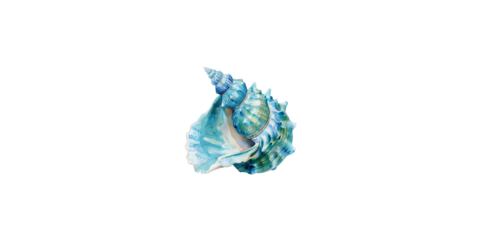 
Watercolor illustration of seashell, turquoise and teal colors, white background
