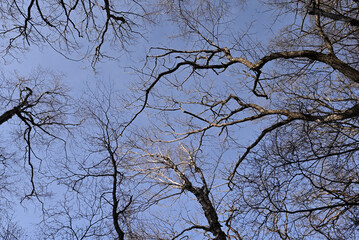 Climbing Mt. Ogura, Nagano, Japan